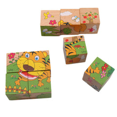 6 Side Painting Puzzles