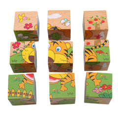 6 Side Painting Puzzles