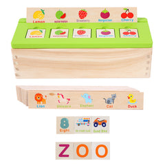 Knowledge Classification Box Educational Sorting Toy for Kids Ages 3 Develops Hand-Eye Coordination, Cognitive Skills & Logical Thinking Durable & Safe Learning Activity