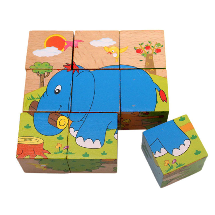 6 Side Painting Puzzles