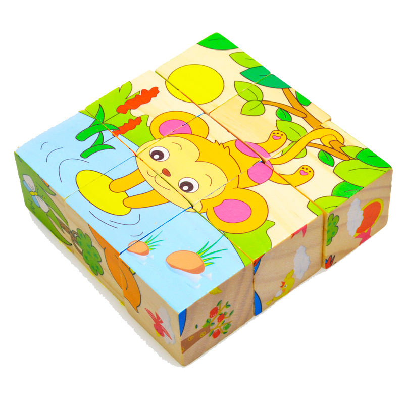 6 Side Painting Puzzles