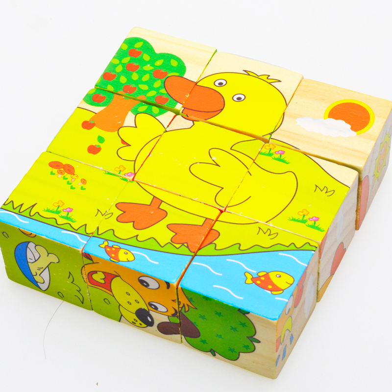 6 Side Painting Puzzles